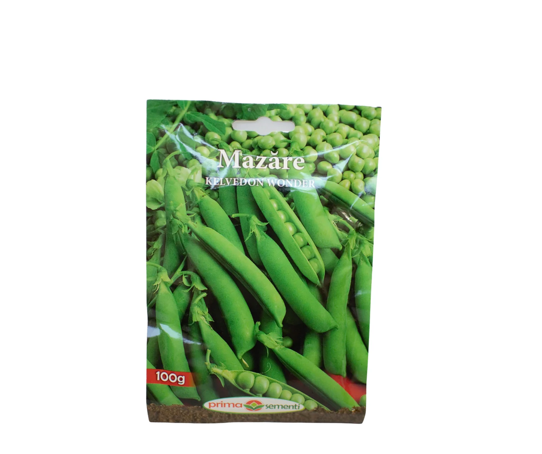 MAZARE KELVEDON WONDER PRIMA SEMENTI 100GR