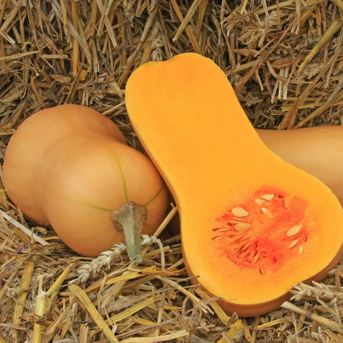 DOVLEAC PLACINTAR BUTTERNUT 2.5GR