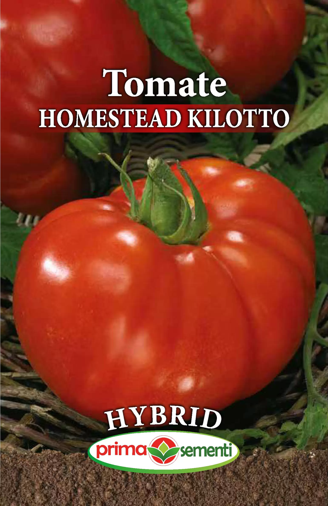 TOMATE HOMESTEAD KILOTTO 0.3 GR