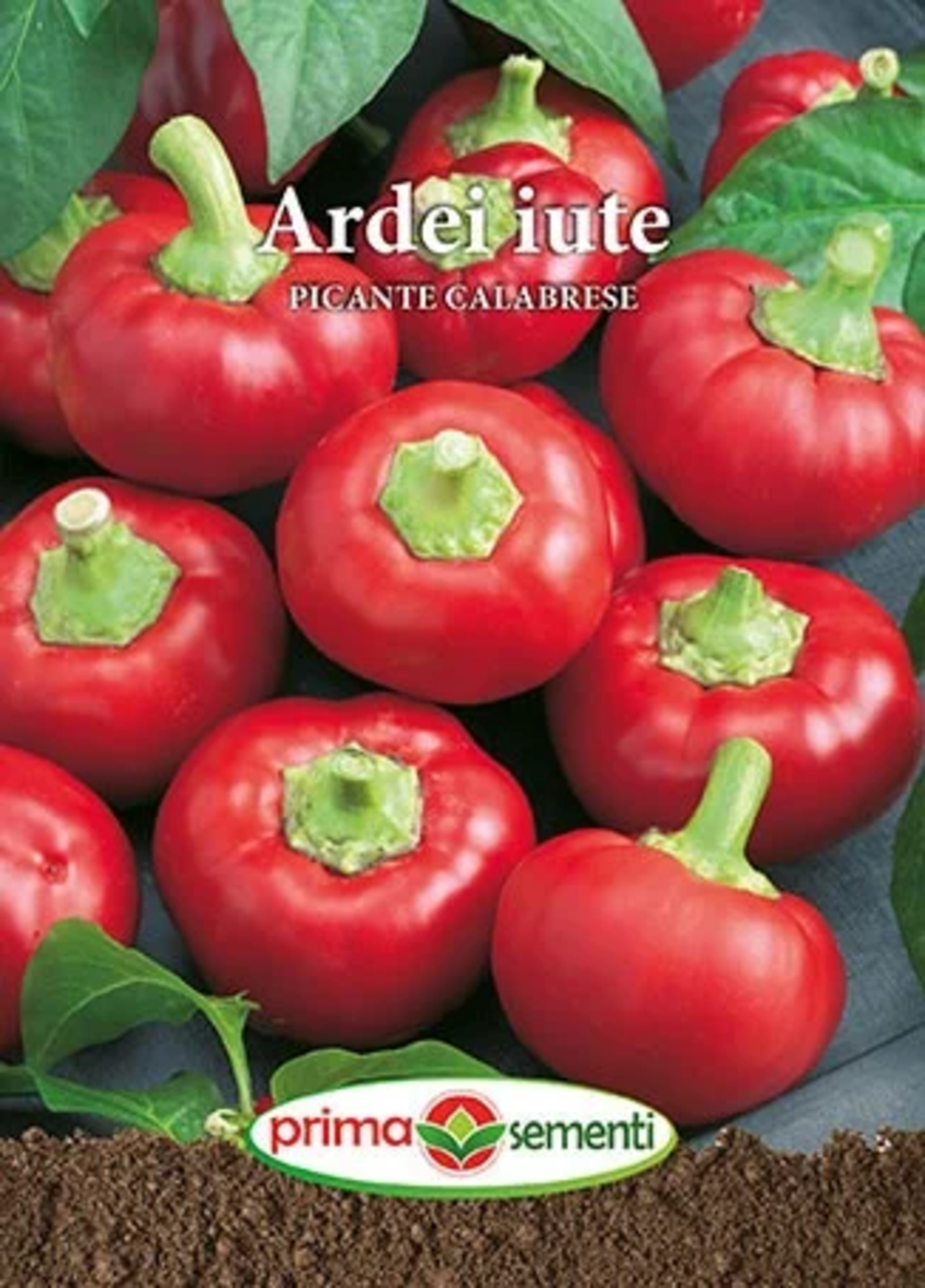 ARDEI IUTE PICANTE CALABRESE PRIMA SEMENTI 0.7