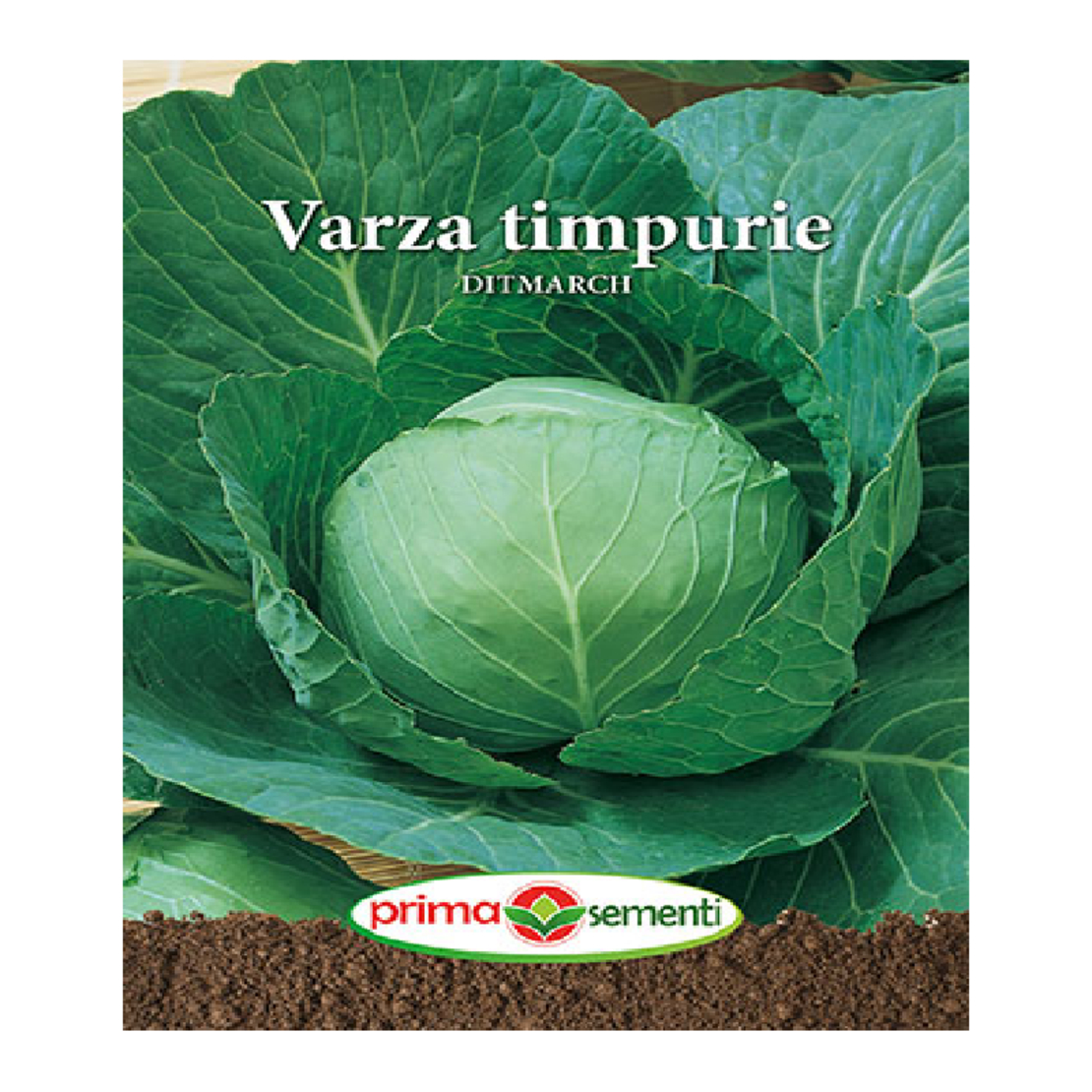 VARZA TIMPURIE GOLDEN ACRE 5GR