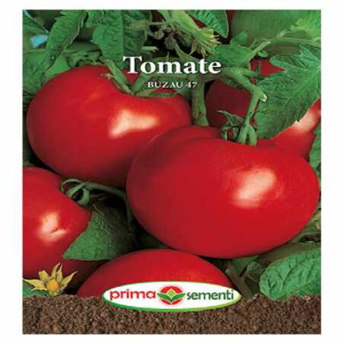TOMATE BUZAU 47 0.3G