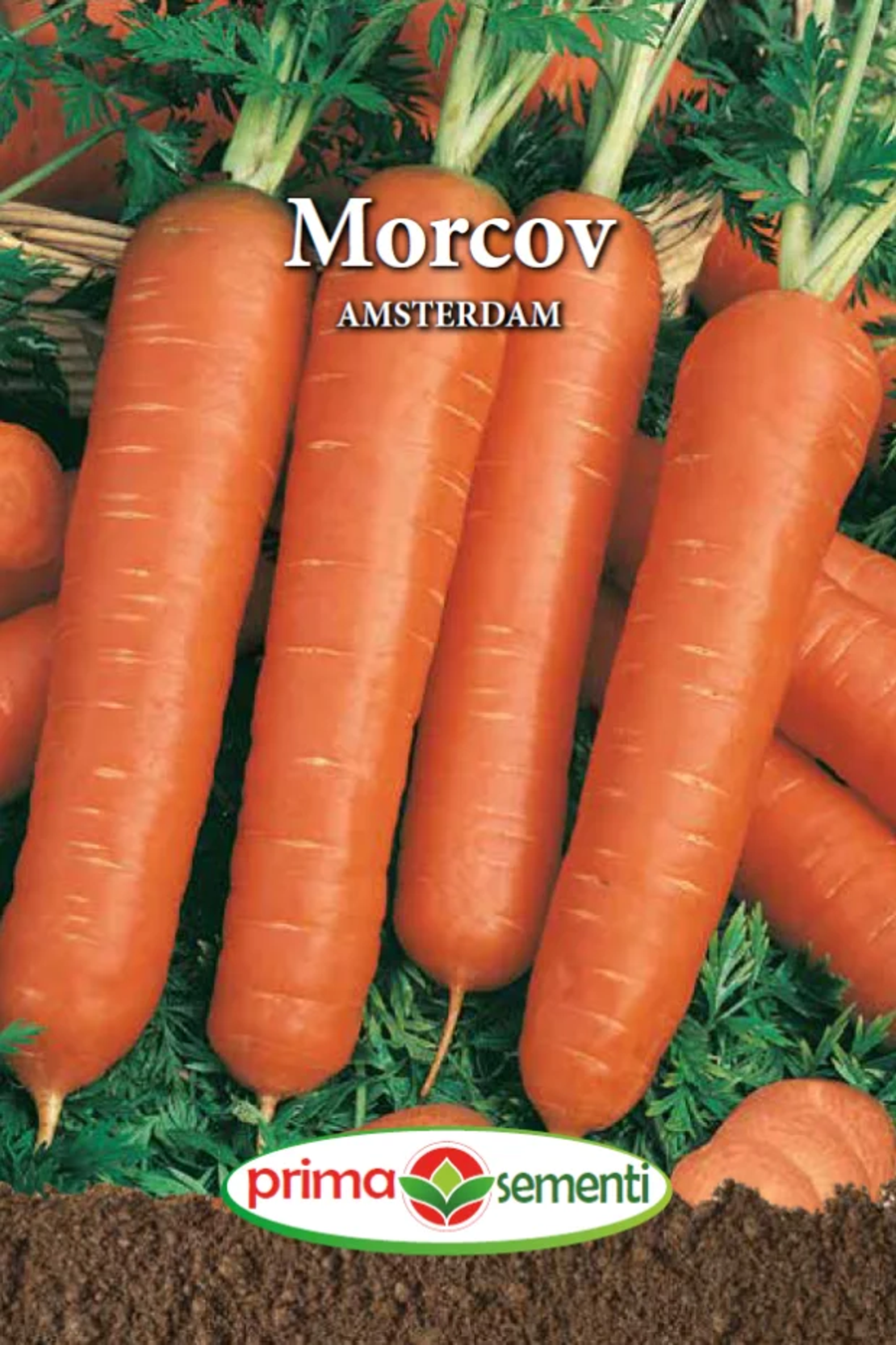 MORCOV AMSTERDAM 5GR
