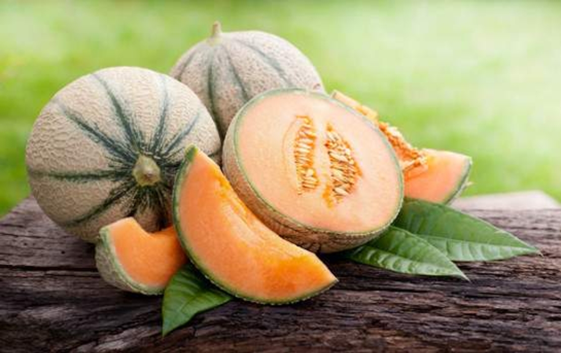 PEPENE GALBEN CANTALUPO 2GR