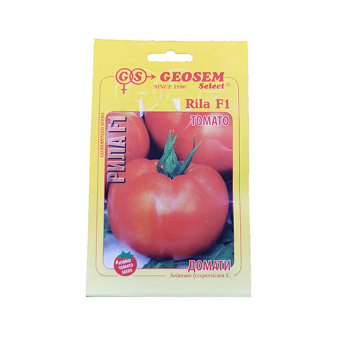 TOMATO RILA F1