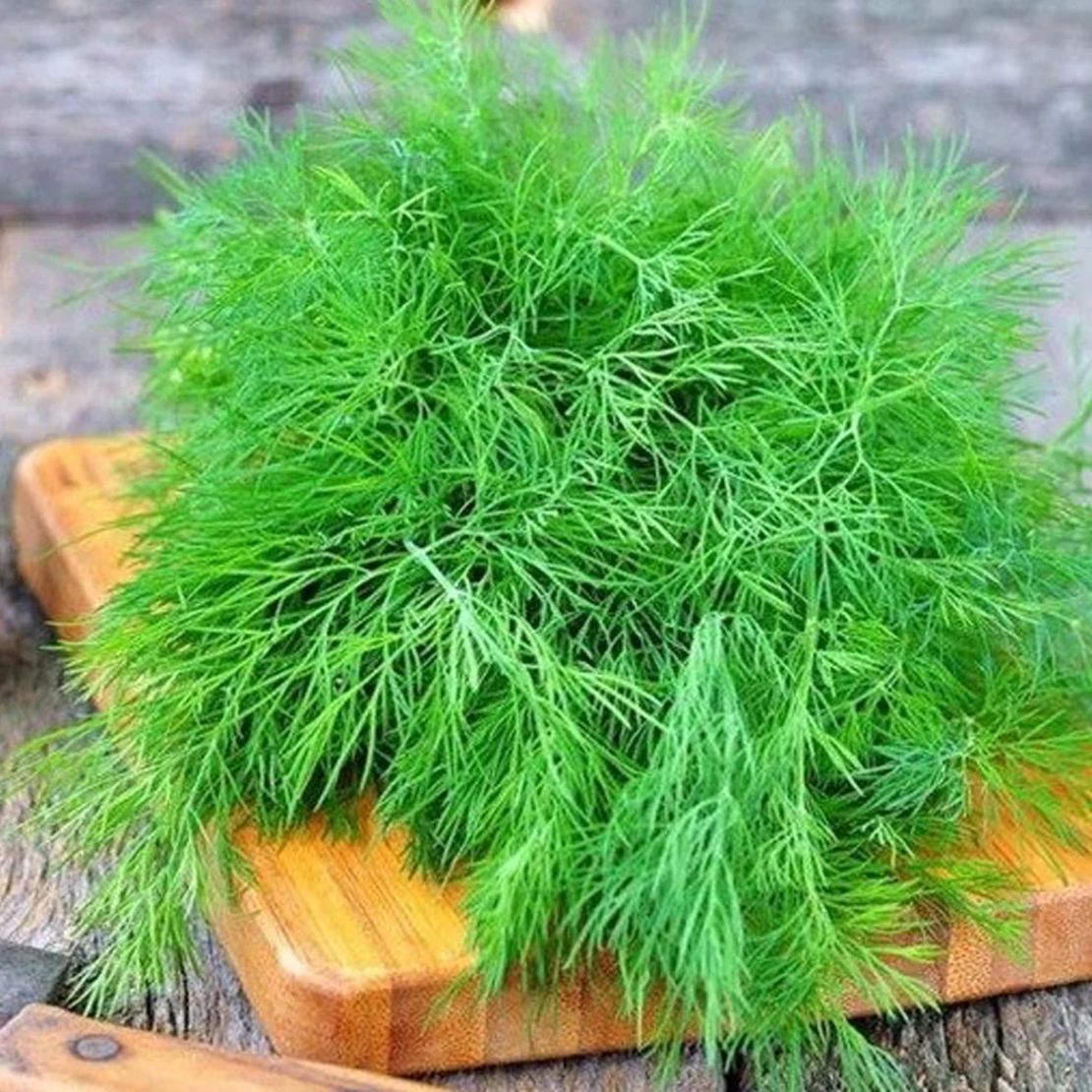 MARAR PRIMA SEMENTI 20 GR