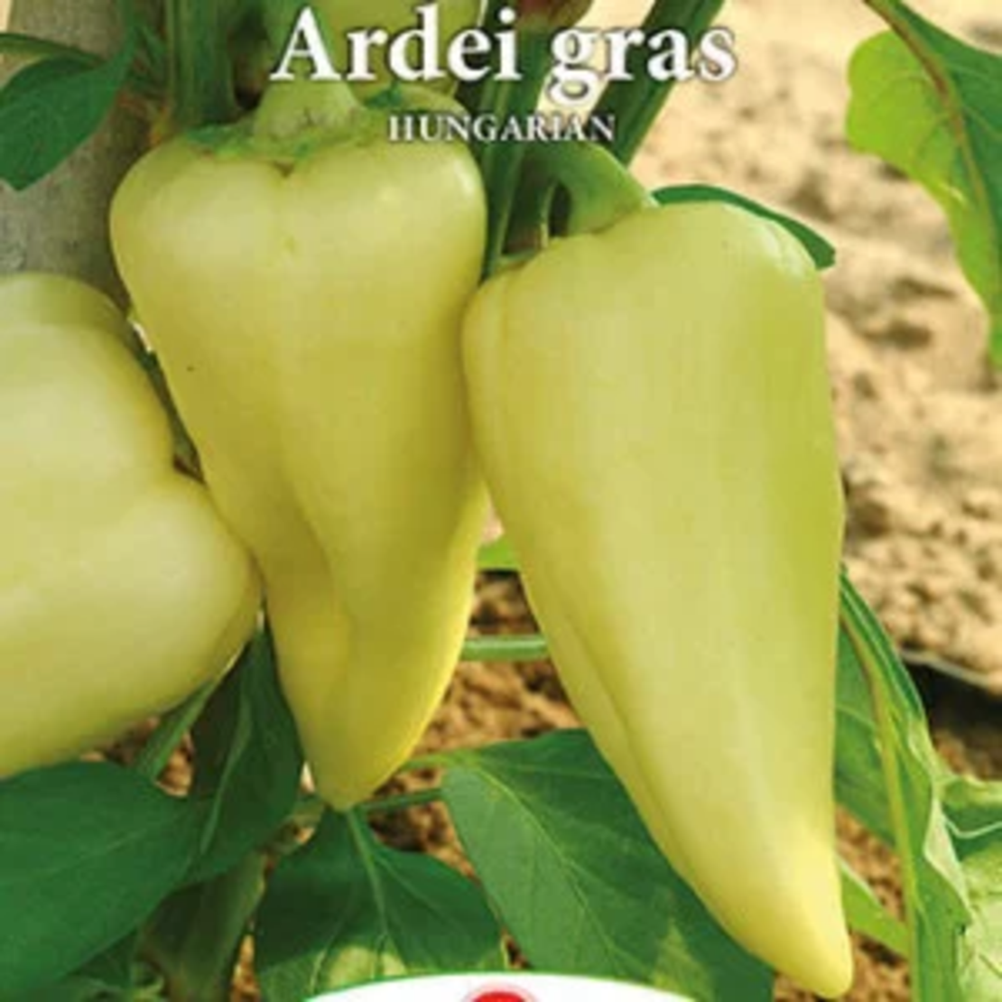 PRIMA SEMENTI ARDEI GRAS HUNGARIANT 0.7GR