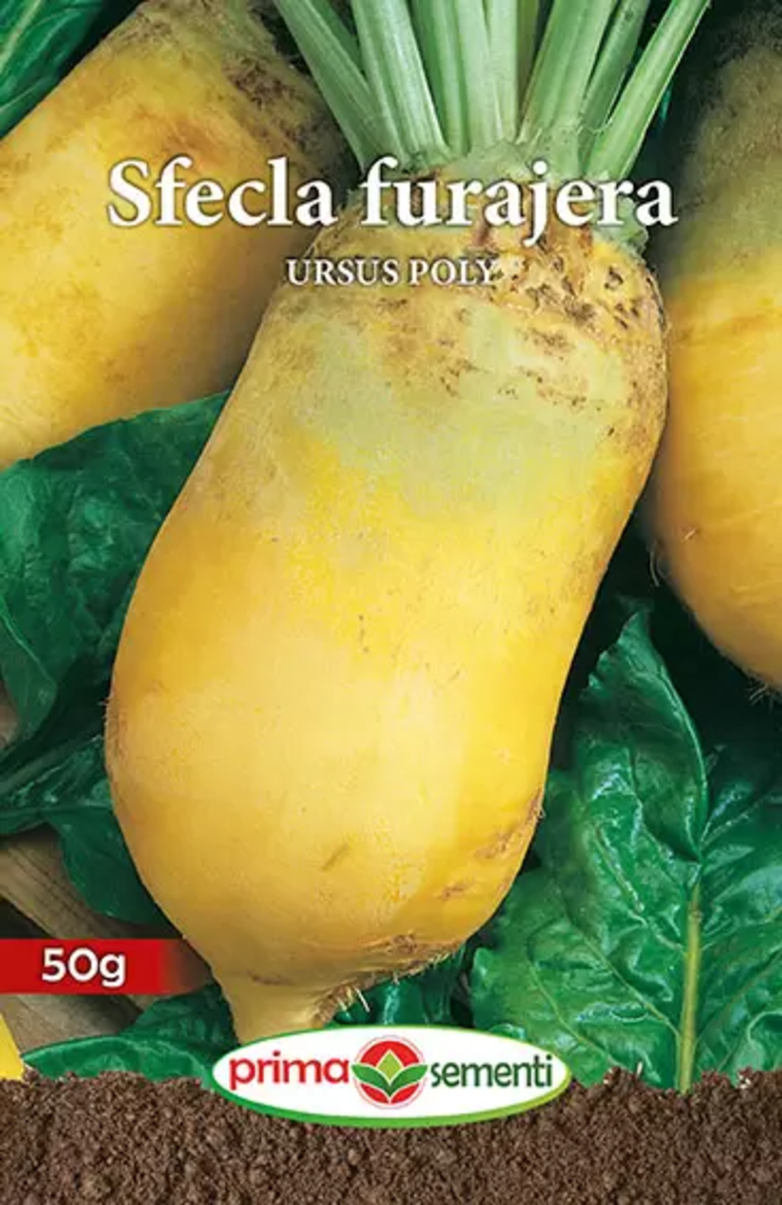 SEMINTE SFECLA FURAJERA URSUS POLY PUNGA 50GR
