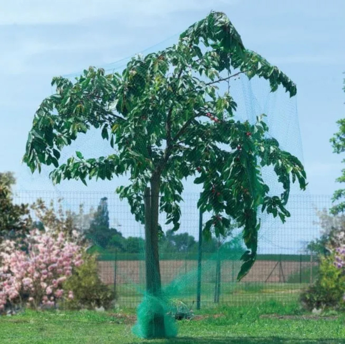 Plasa anti pasari pentru pomi fructiferi si vita de vie, ochiuri 15x15 mm, polipropilena, 2x5 m, verde