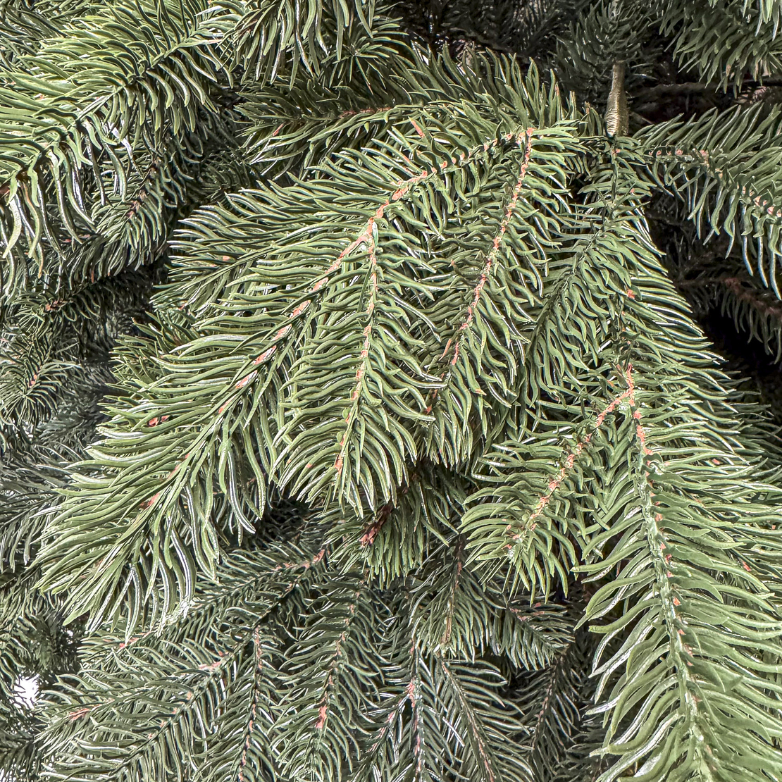 Brad artificial Christmas Deluxe by Sersimo, Kovalivka Select, integral 3D, 230cm