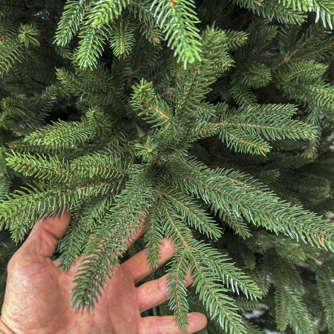 Brad artificial Christmas Deluxe by Sersimo, Alpine, verde, integral 3D, 230 cm