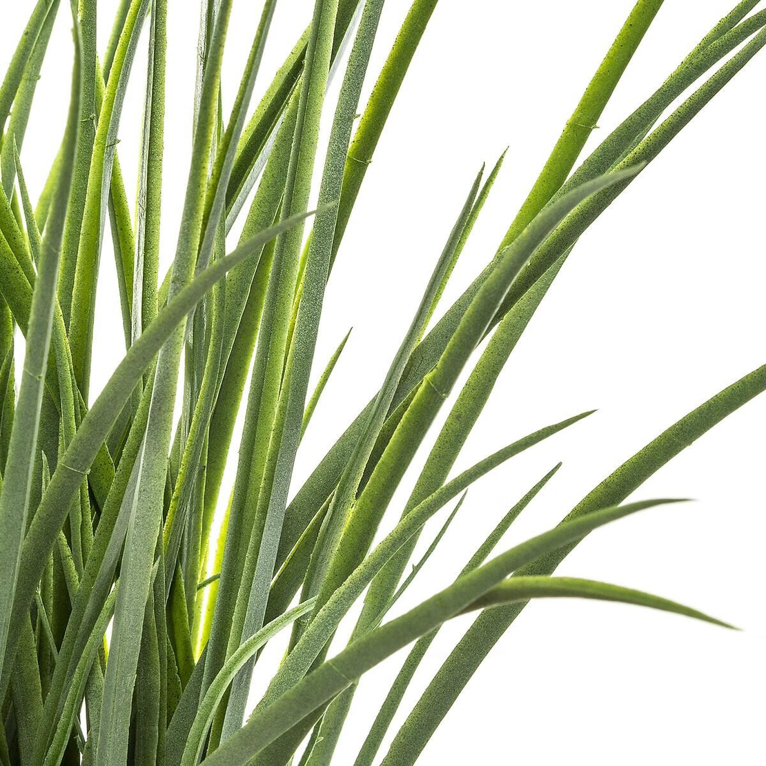 Planta decorativa Atmosphera, iarba in ghiveci impletit, 18x46 cm, maro natur