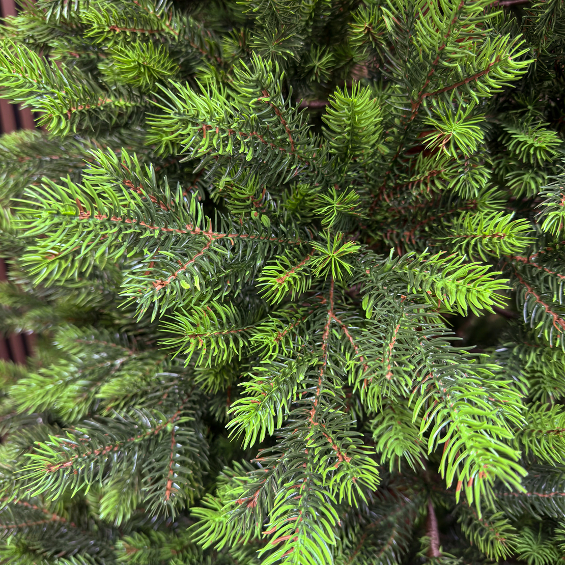 Brad artificial Sersimo, Hollandia, verde cu varfuri verzi, integral 3D, 230 cm