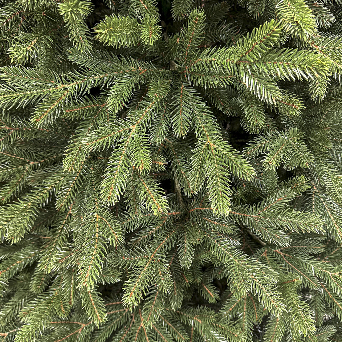 Brad artificial Christmas Deluxe by Sersimo, Alpin Select, integral 3D, 250 cm