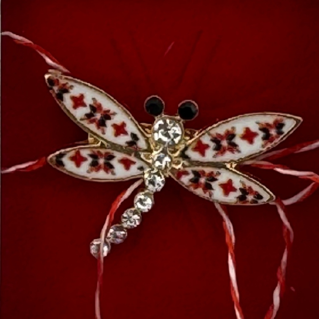 Martisor Brosa Mica in Cutie, Jolie, Dimensiune Brosa 2.5-3cm, Material Metal, Model Libelula Traditionala
