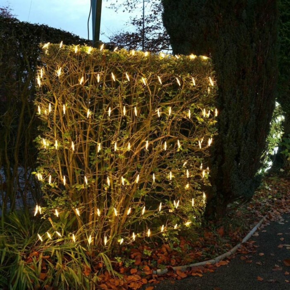 Instalatie Craciun tip plasa, cu transformator 31V, 1.5 m x 1.5 m, Alb Cald, 120 LED-uri V5, 8 jocuri de lumini, fir verde, Vafy