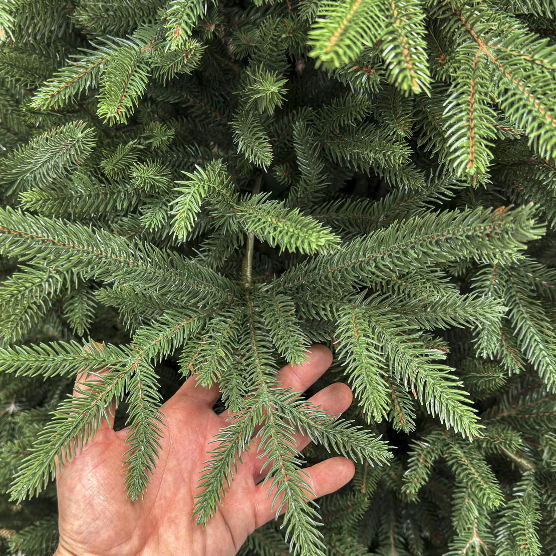 Brad artificial Christmas Deluxe by Sersimo, Alpine, verde, integral 3D, 230 cm