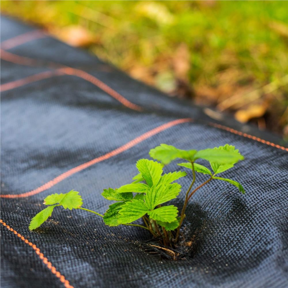 Folie agrotextil, mulcire, antiburuieni, filtru UV, 100 x 0.8metri, 70g/m2, negru