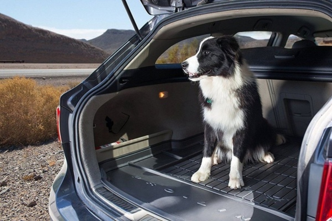 Tavita portbagaj PREMIUM Dacia Sandero II / Stepway II caroserie hatchback fabricatie 12.2012 - prezent