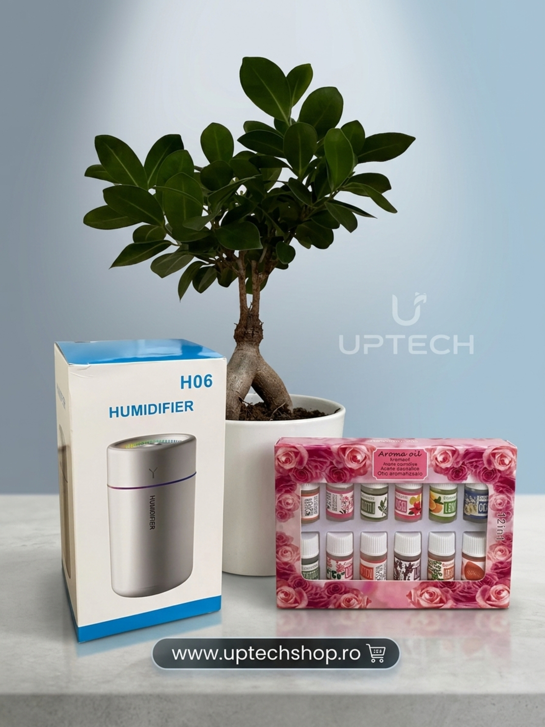 Umidificator multicolor pentru aromaterapie + Set Uleiuri esentiale