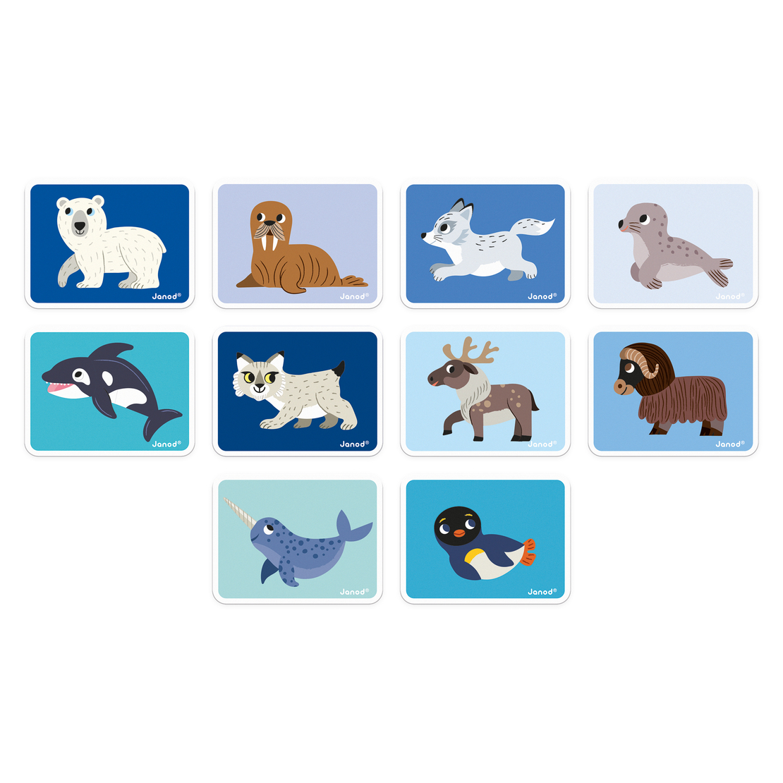 Joc educativ magnetic Janod, Magneti'book Animale Polare, 40 piese 3 ani+