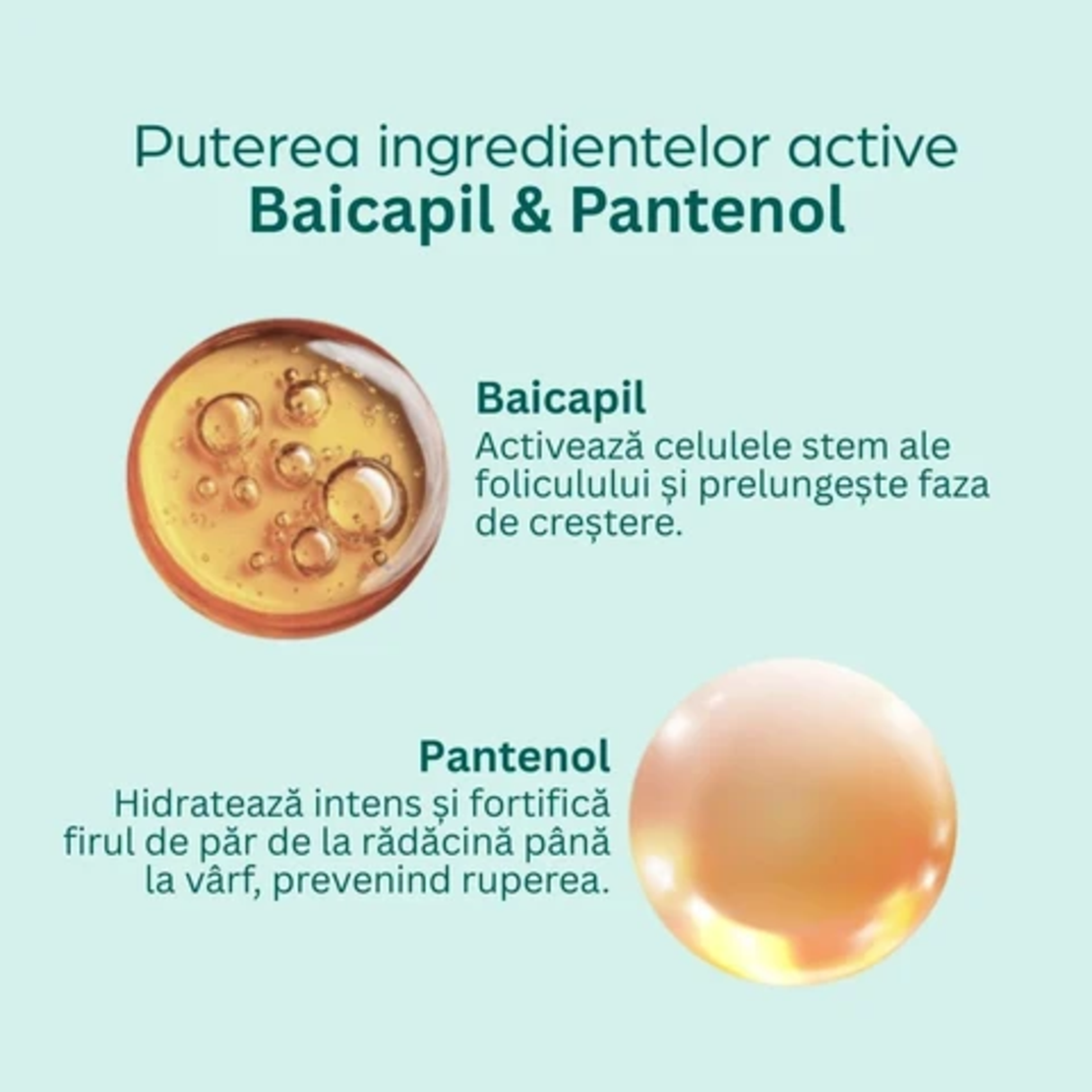 Momirov-Șampon împotriva căderii părului cu 5% Baicapil și Pantenol, 200 ml