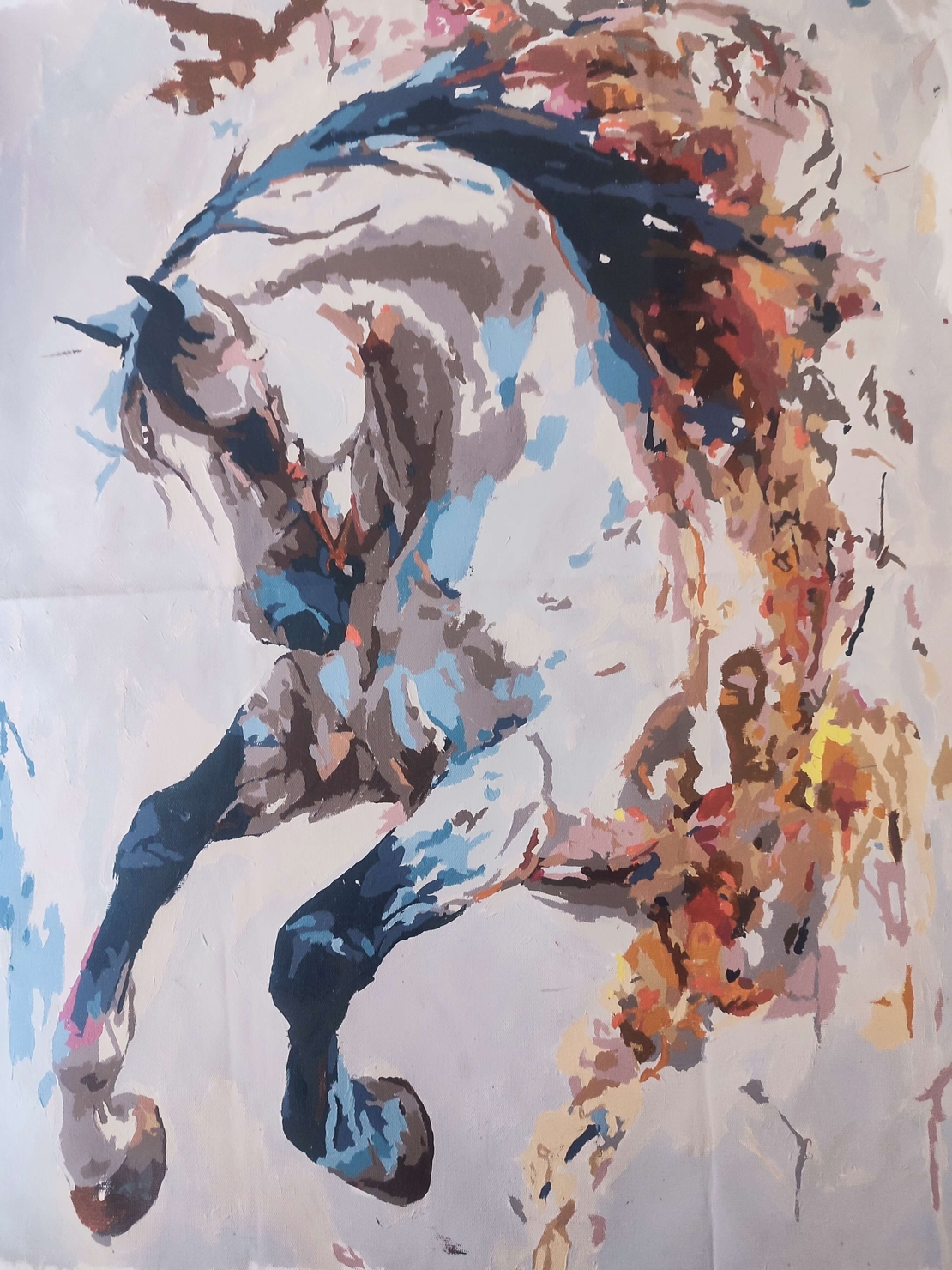 Cal în galop