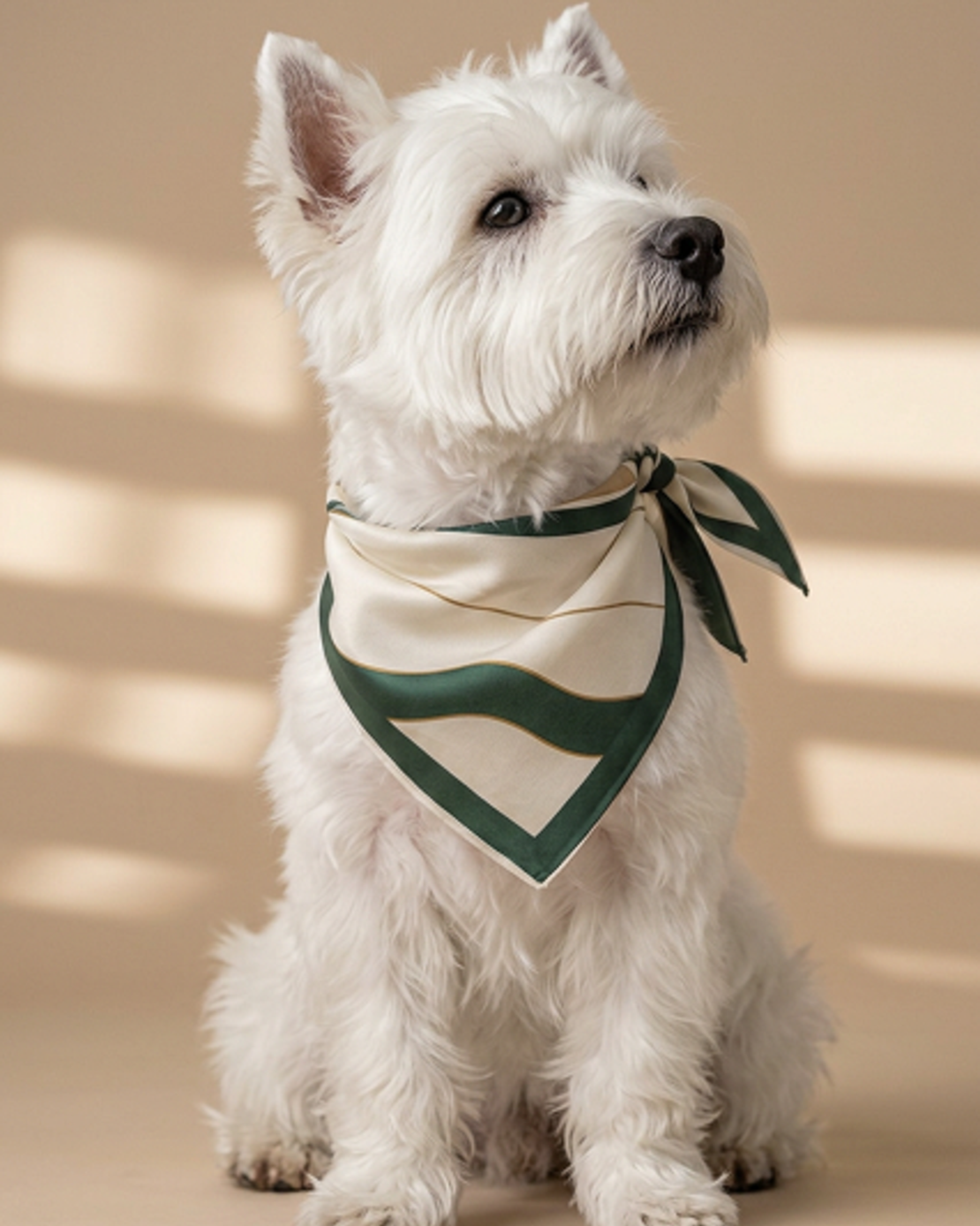 JADE | DOG