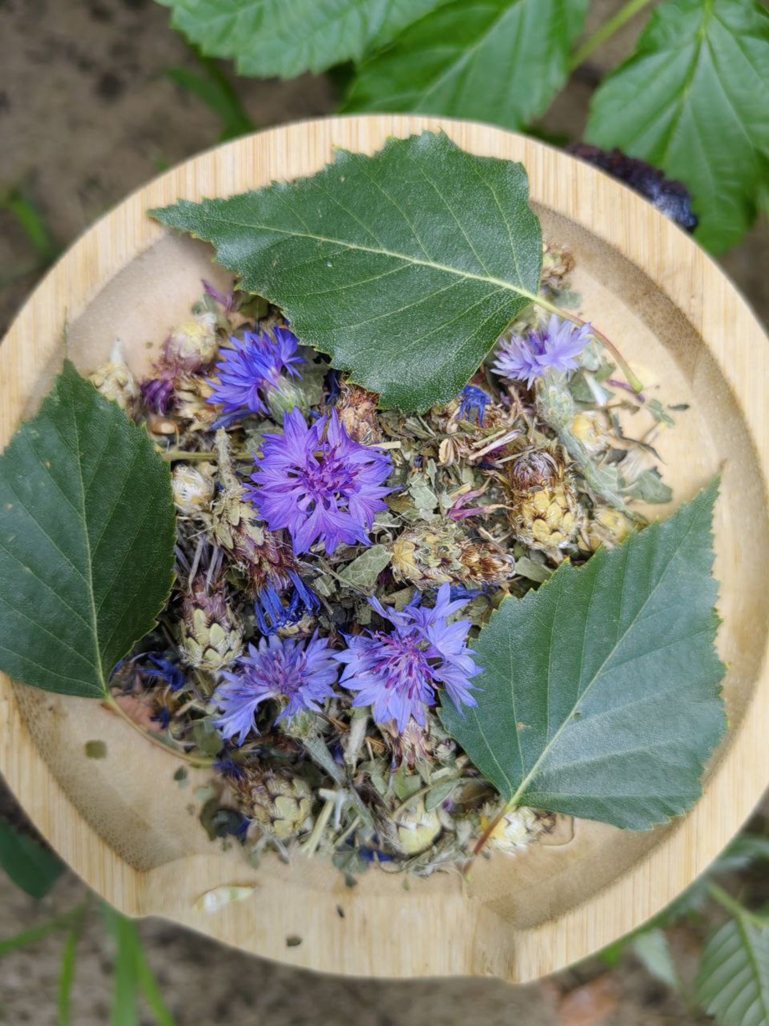 ФитоКомплекс «Лёгкость без геморроя»