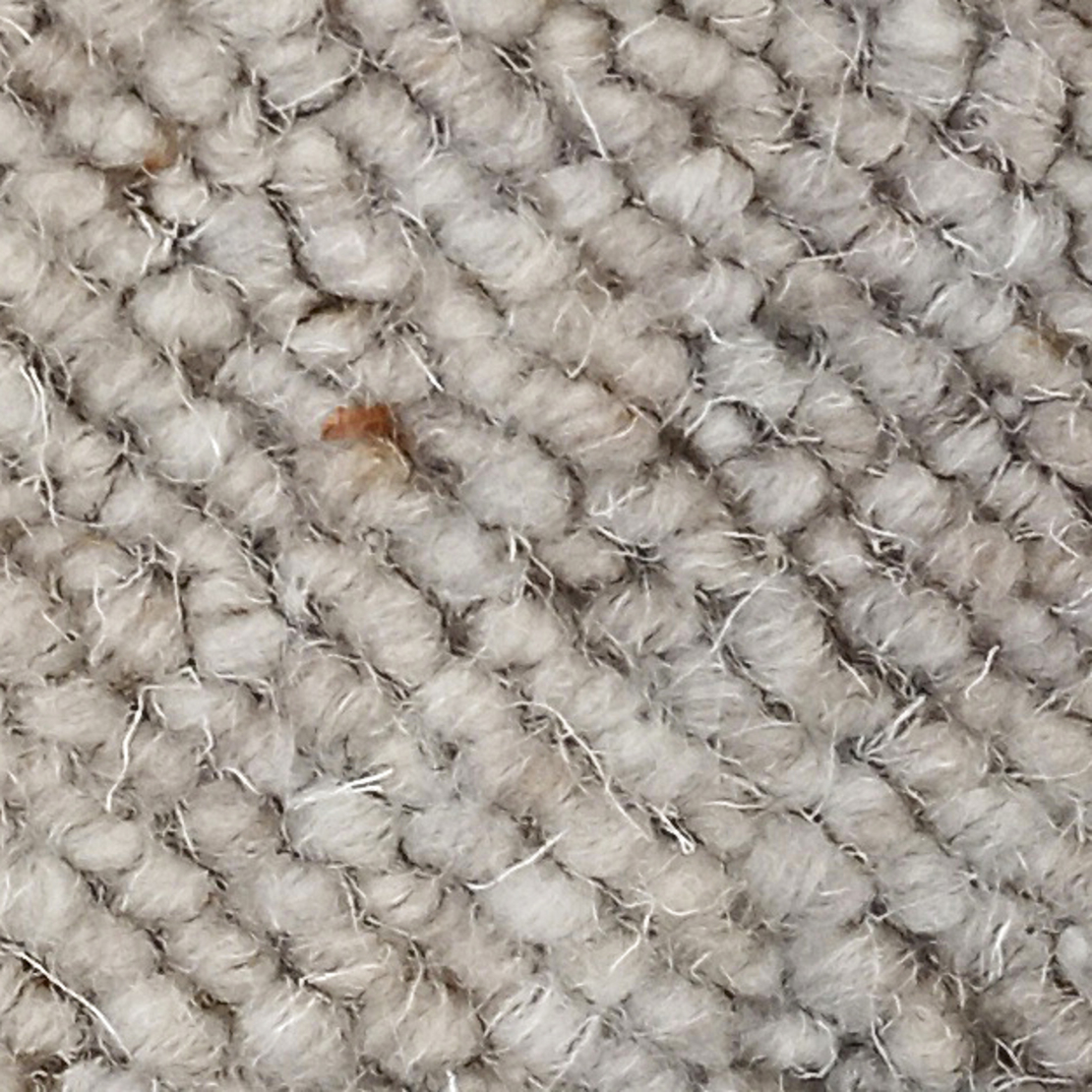 Ковролин из шерсти Alfa (Creatuft) 88
