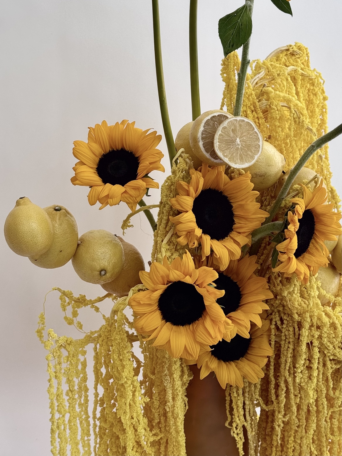 Lemon Sunrise