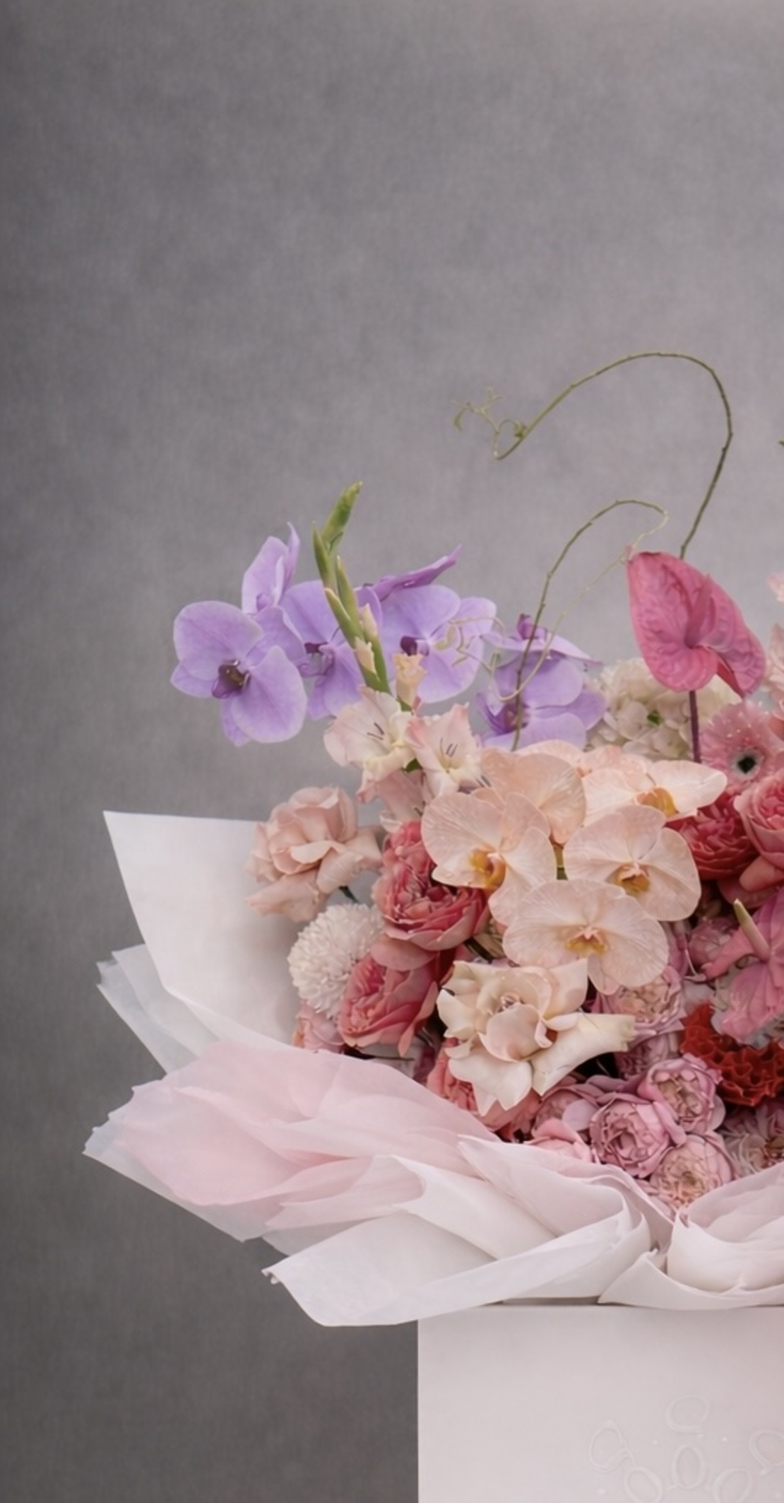 Blush Cascade
