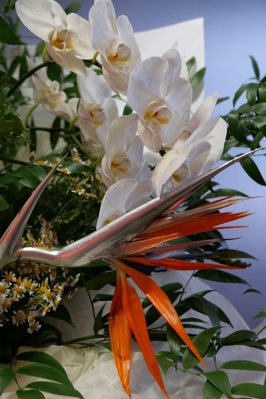 Silver Garden