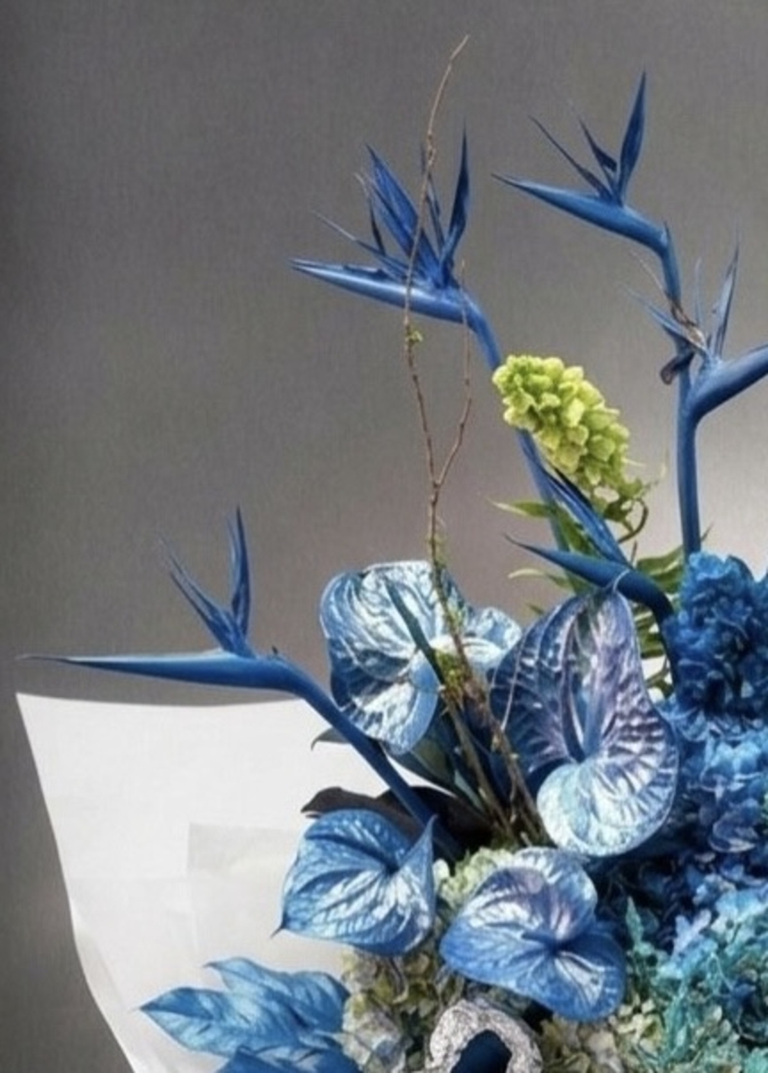 Blue Obsession
