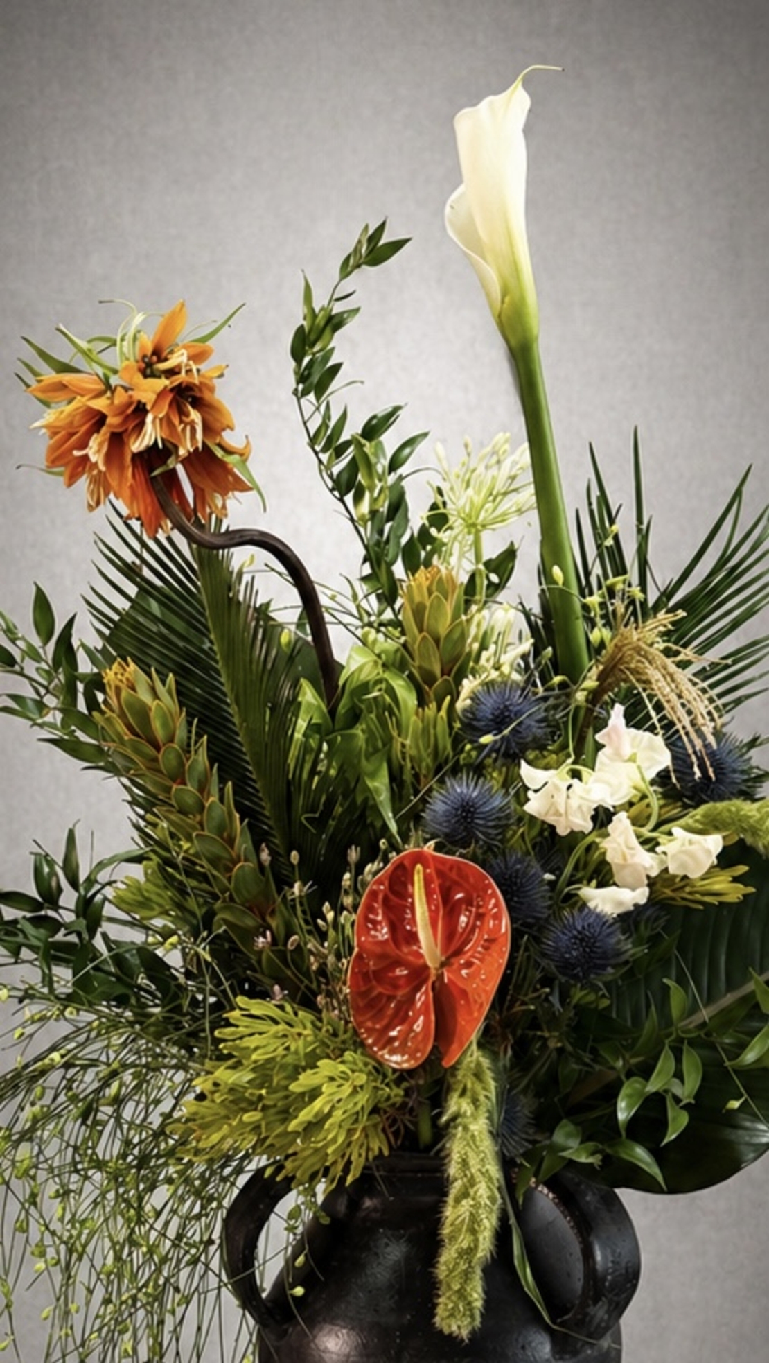 Wild Botanical