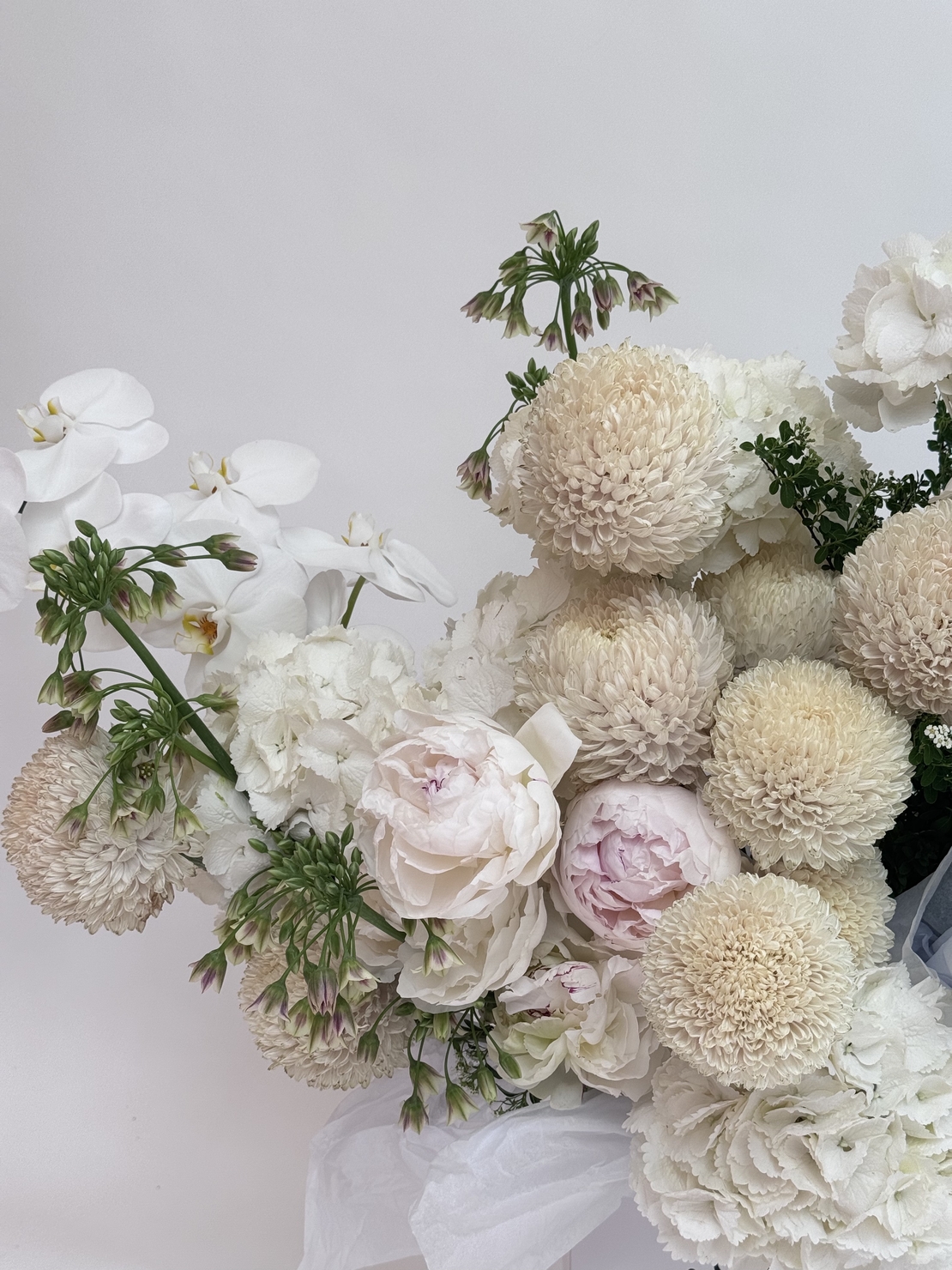 Cloudbloom
