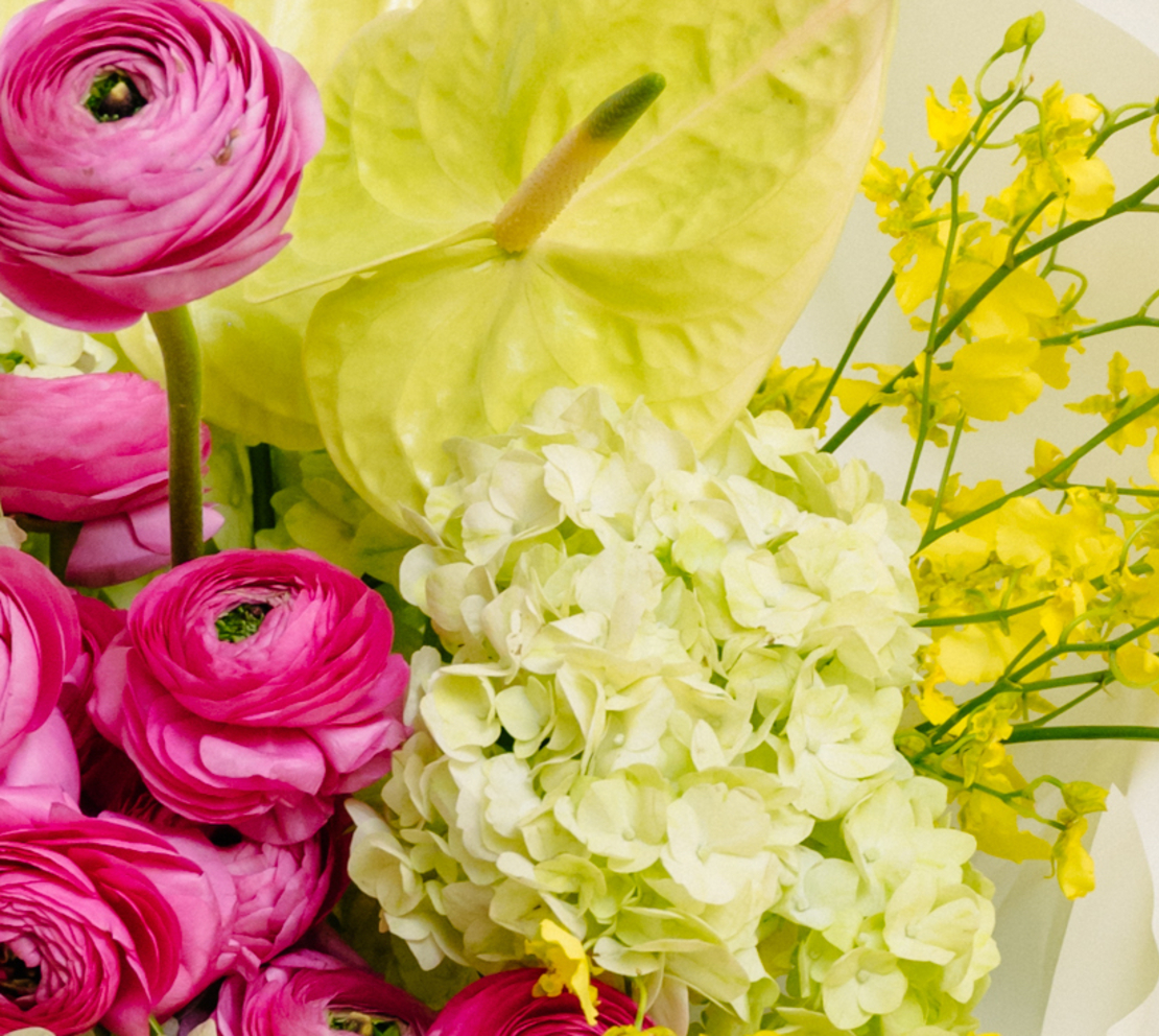 Blush of Spring