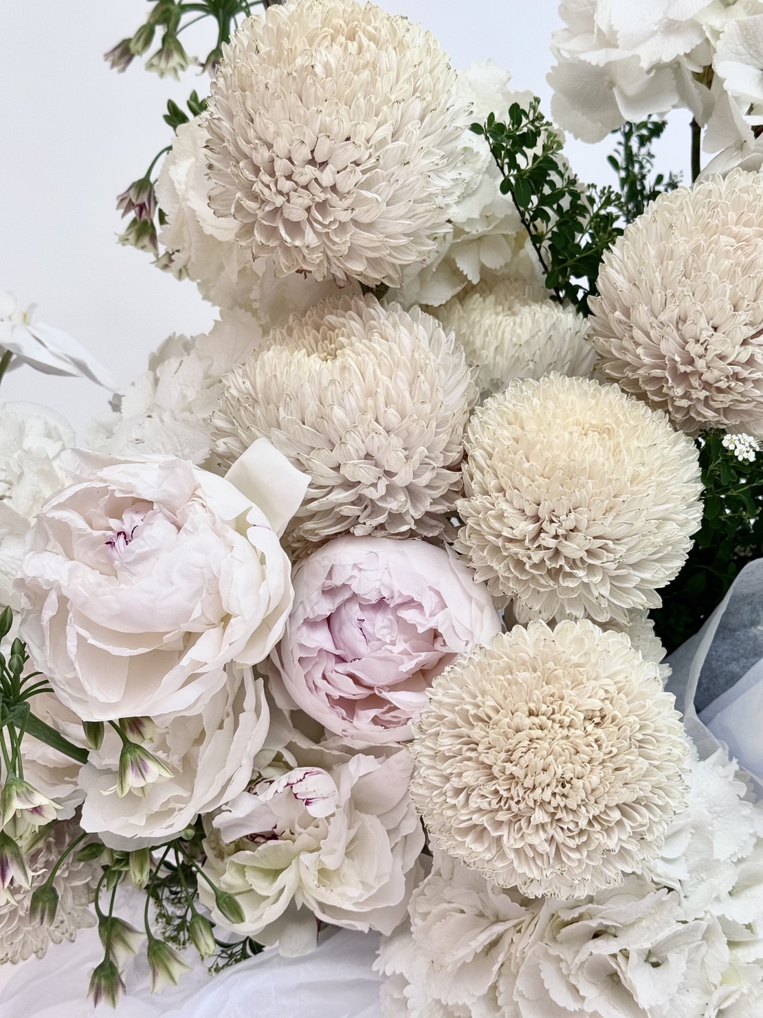 Cloudbloom