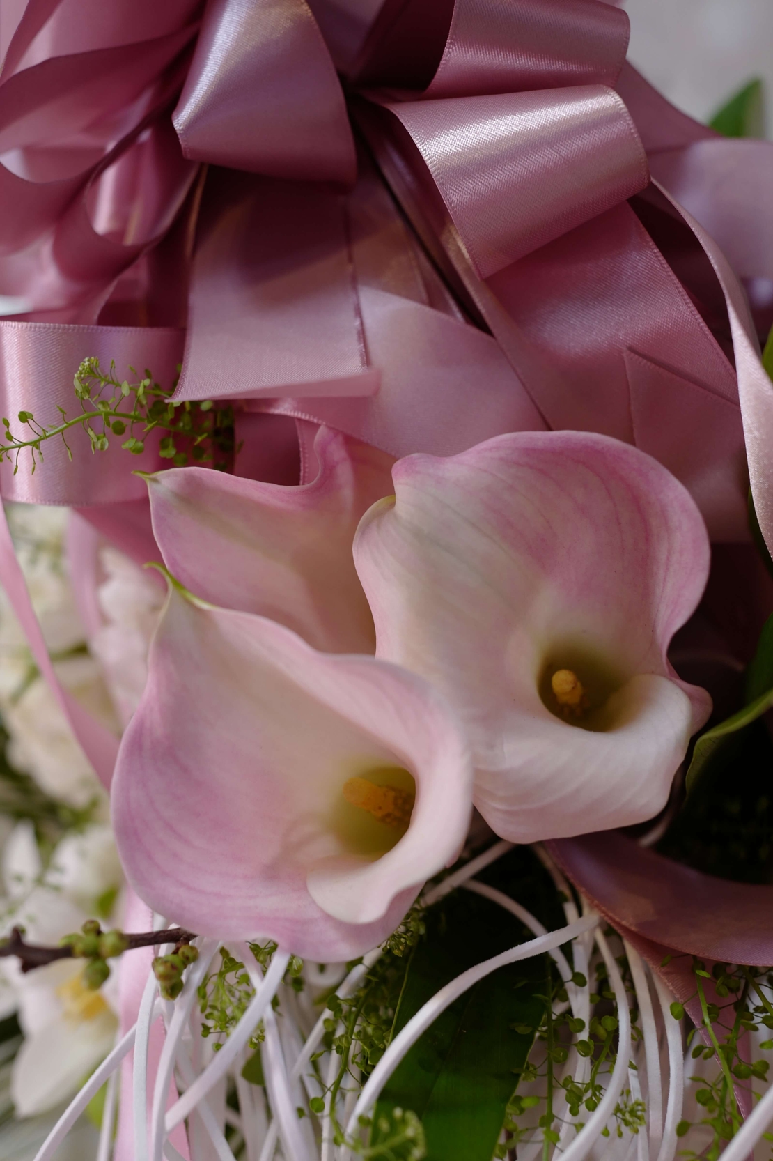 White Bloom, Chained in Grace