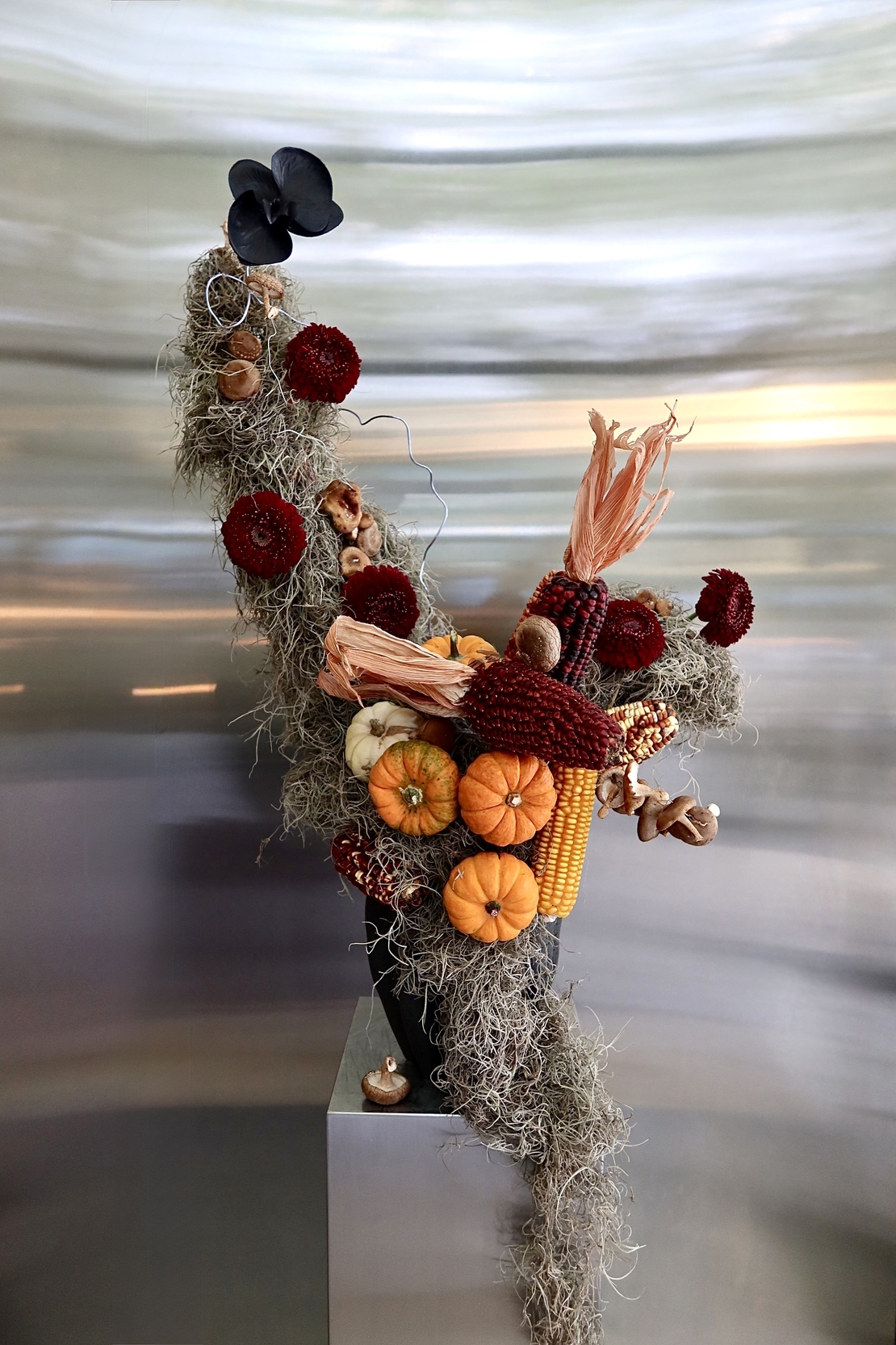Harvest Howl