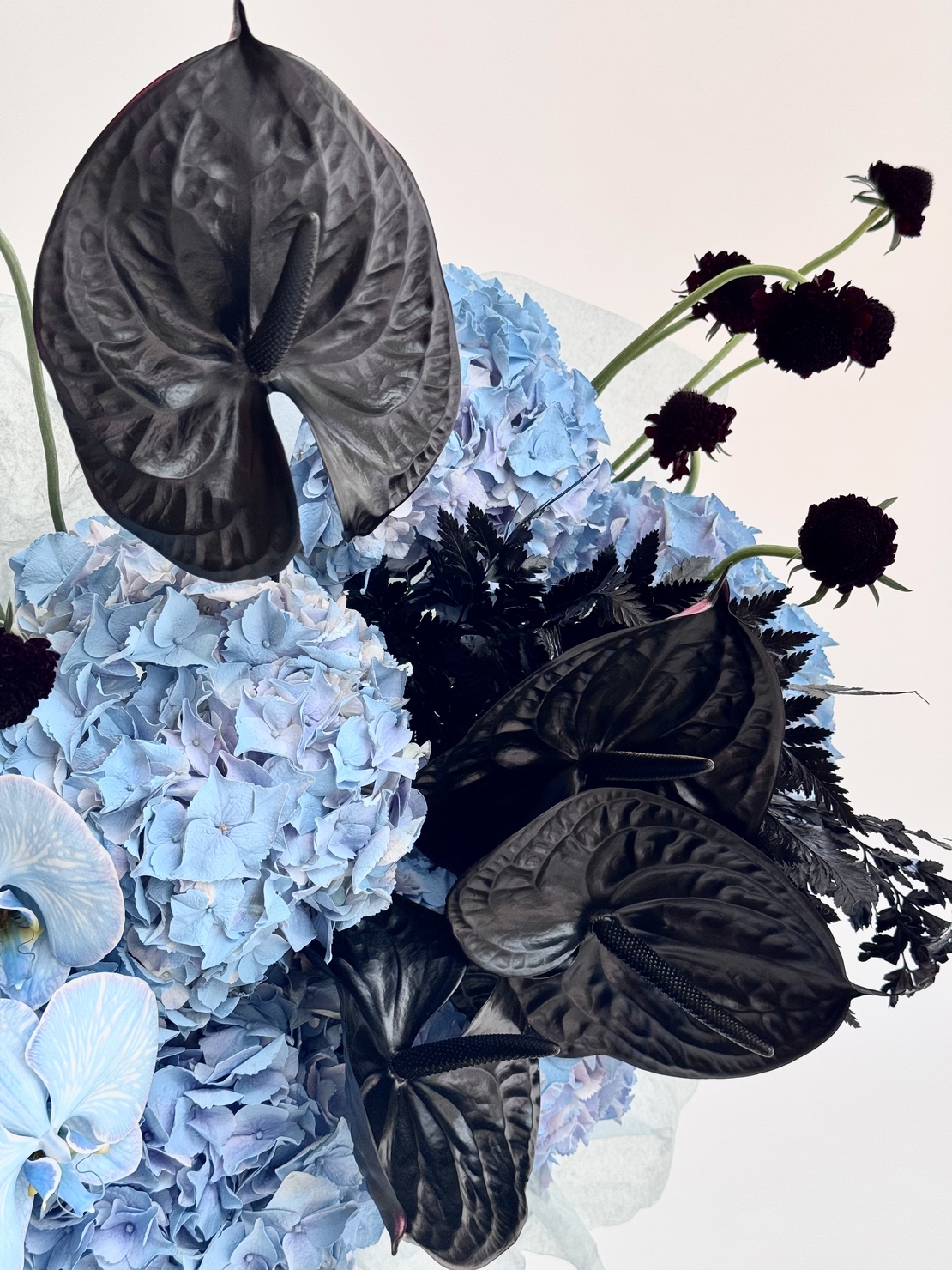 Black Sapphire