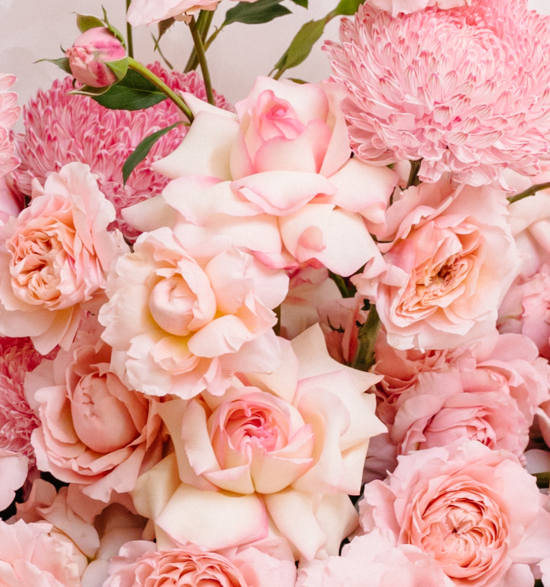Pink Daydream