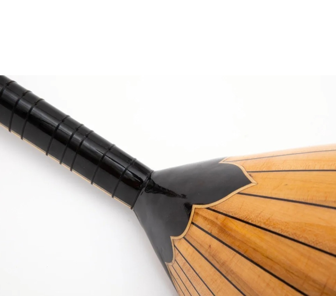 Electronic Baglama