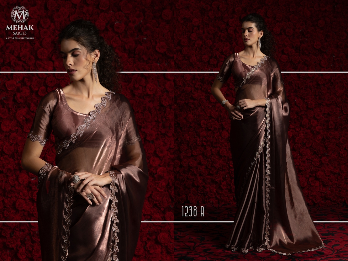 Saree : Tissue Chiffon Hand work Jarkan ,Work Border