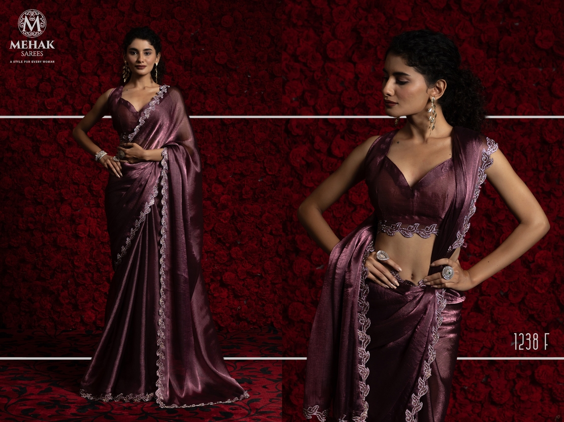 Saree : Tissue Chiffon Hand work Jarkan ,Work Border