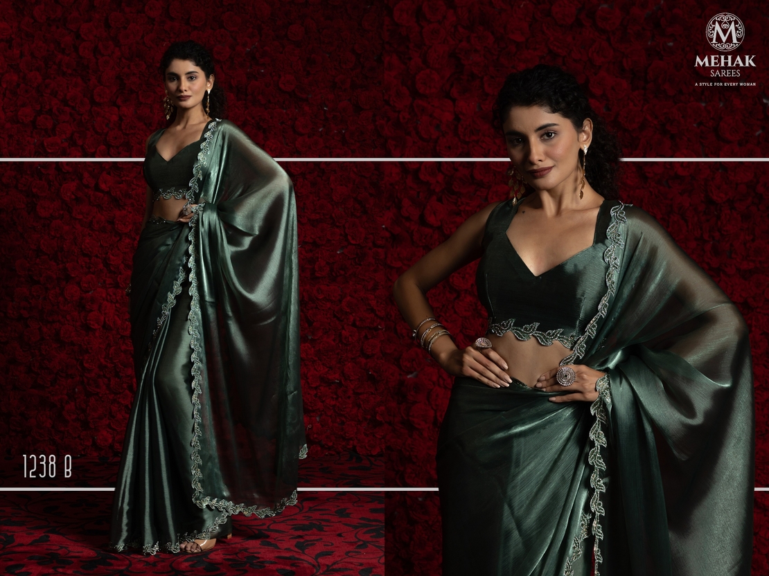 Saree : Tissue Chiffon Hand work Jarkan ,Work Border