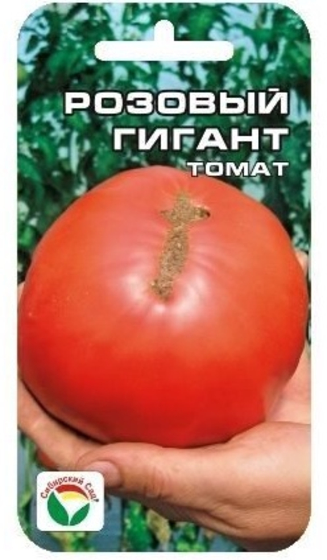 томат сибирский гигант розовый. сорт помидор сибирский гигант.
