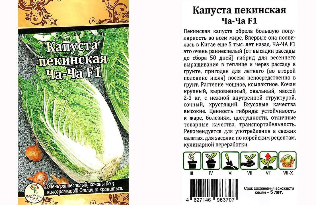 Капуста ча ча рецепт Капуста ча ча рецепт