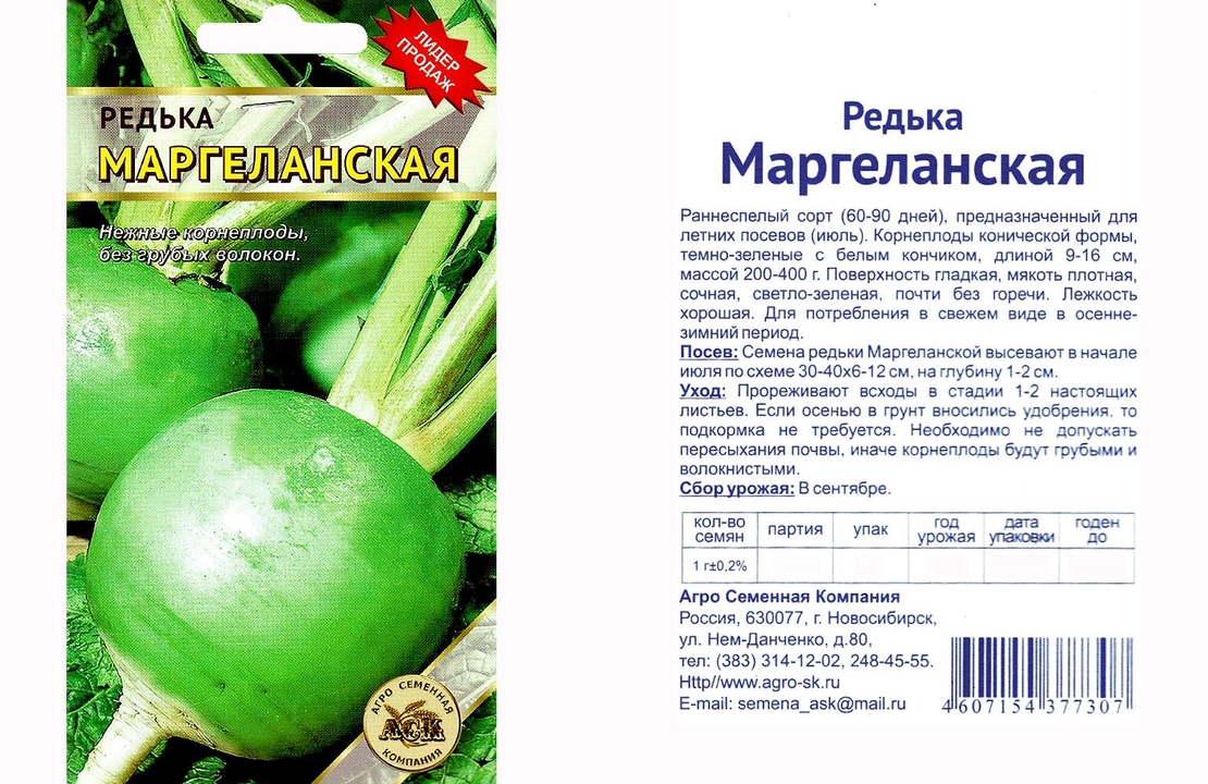 редька маргеланская на грядке. когда сеять редьку маргеланскую в открытый грунт. когда сеять редьку маргеланскую в открытый грунт. когда сеять редьку маргеланскую в открытый грунт. когда сеять редьку маргеланскую в открытый грунт.