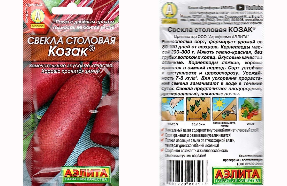 Свекла Столовая Козак | Ореховый Рай
